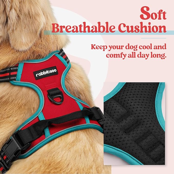 rabbitgoo Dog Harness No Pull with 2 Leash Clips, Adjustable Soft Padded, Reflective Oxford No Choke Pet Vest with Easy Control Handle for Medium Sized Dogs, Red & Teal, M rabbitgoo