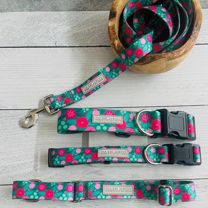 Lucky Love Dog Combo Set, Big Dog Collar & Leash Set for Large Dogs, Colorful Matching Collar and Leash Set for Girl or Boy Dogs, Stripes, Penny Combo, Large LuckyLoveDog