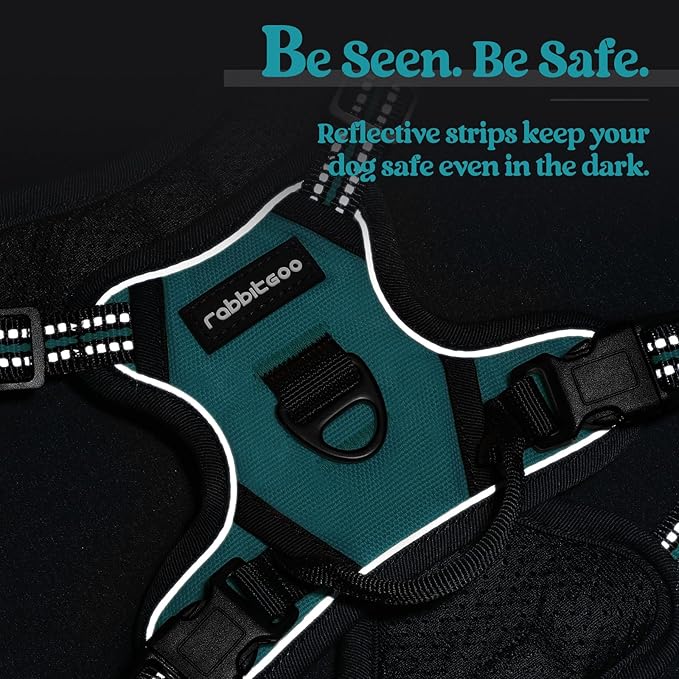 rabbitgoo Dog Harness No Pull with 2 Leash Clips, Adjustable Soft Padded, Reflective Oxford No Choke Pet Vest with Easy Control Handle for Puppy, Teal, XS rabbitgoo