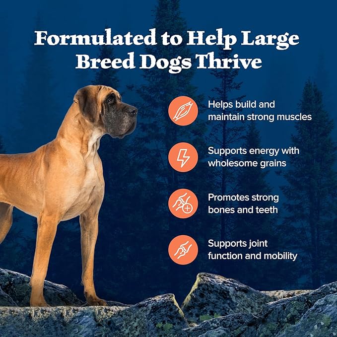 Blue Buffalo Wilderness Large Breed Adult Dry Dog Food Wholesome Grains Natural Ingredients Chicken - PAWPICO