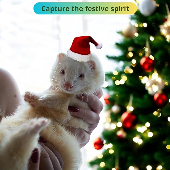 Ferret Hat and Adjustable Scarf Set, Small Christmas Hats for Pets Cute Collar for Ferrets Chinchilla Squirrel Bunny Rabbit Kitten, Guinea Pig Christmas Outfit, Ferret Accessories Costume (Christmas) HomedyCrafts