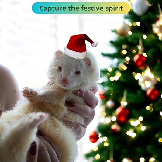 Ferret Hat and Adjustable Scarf Set, Small Christmas Hats for Pets Cute Collar for Ferrets Chinchilla Squirrel Bunny Rabbit Kitten, Guinea Pig Christmas Outfit, Ferret Accessories Costume (Christmas) HomedyCrafts