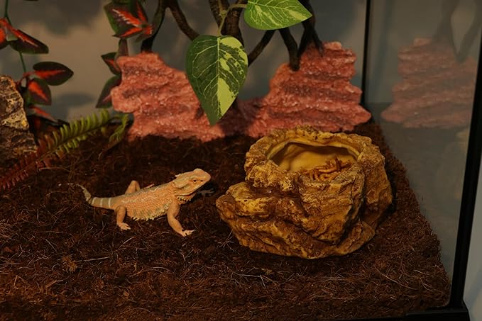 AQUA KT Reptile Natural Coconut Fiber Substrate Bedding Coco Coir Brick for Lizard Hermit Crab Snake Frog Spider Gecko Terrarium Bedding AQUAKT