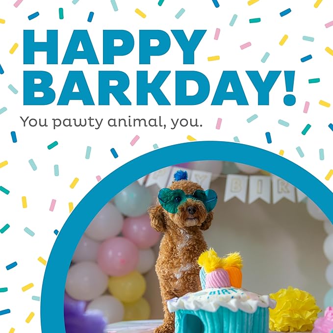 Outward Hound Hide A Birthday Cake, Plush Puzzle Birthday Themed Dog Toy - PAWPICO