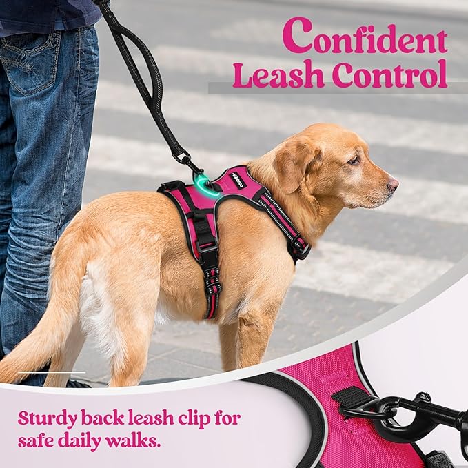rabbitgoo Dog Harness No Pull with 2 Leash Clips, Adjustable Soft Padded, Reflective Oxford No Choke Pet Vest with Easy Control Handle for Large Dogs, Hot Pink, XL rabbitgoo
