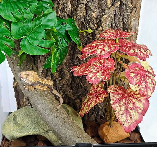 Woyrise Reptile Artificial Plants for Terrarium Decor, Amphibian Habitat Decorations Bearded Dragon Tank Accessories fit Crested Gecko Leopard Lizard Chameleon Snake Frog - Fake Pink Heuchera Woyrise