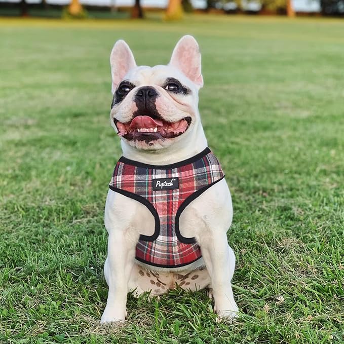 PUPTECK Soft Mesh Dog Harness and Leash Set Pet Puppy Cat Comfort Padded Vest No Pull Harnesses, Red Mixed, S PUPTECK