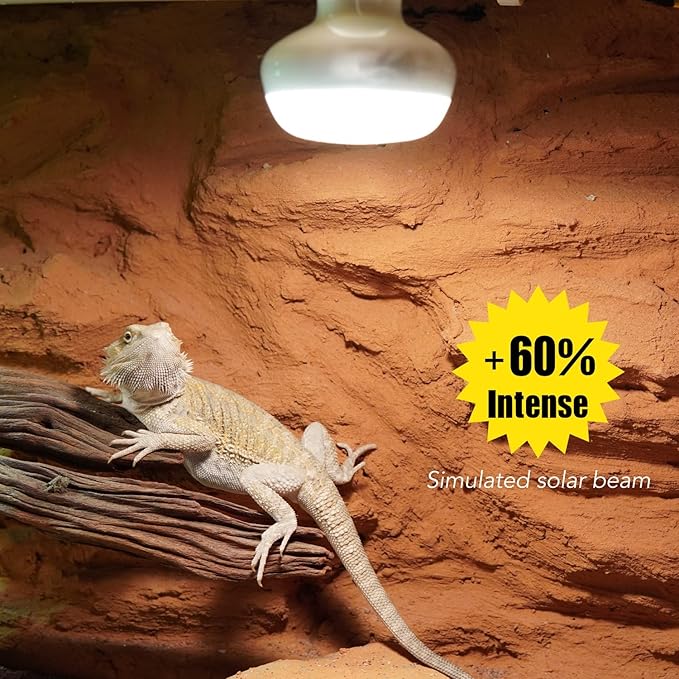 Reptile Heat Lamp, 2 Pack 75W Intense Basking Bulbs Light for Reptiles, UVA Daylight Basking Light for Bearded Dragon, Lizard, Gecko,Turtle, Reptile Heat Bulb ReptiKing