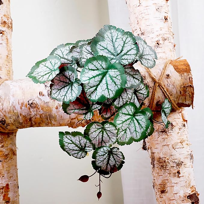 Woyrise Reptile Plants, Terrarium Hanging Plants Vines for Reptile Tank, Amphibian Habitat Leaves Decor with Suction Cups for Bearded Dragon Lizard Snake Gecko Frog Hermit Crab - 2Pack Green Heuchera Woyrise