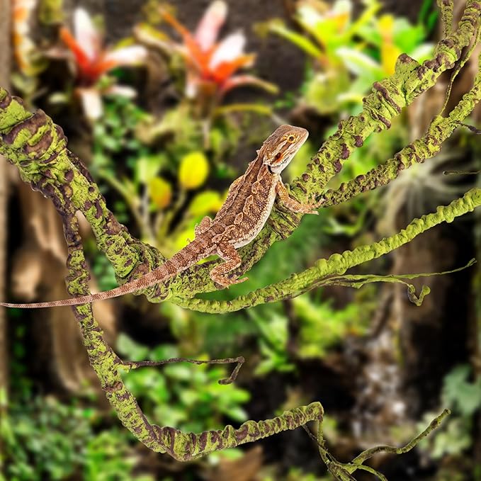 PINVNBY PIVBY Flexible Bend-A-Branch Jungle Vines Pet Habitat Decor Reptile Plants Terrarium for Lizard, Frogs, Snakes and More Reptiles Climbing (Fat: 43.31 x 0.79 Inch) PINVNBY
