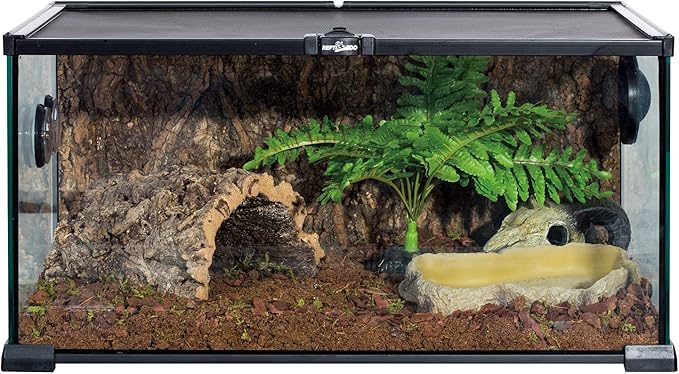 REPTIZOO Reptile Food Dish Terrarium Water Bowl Food Feeding Bowl for Reptile Amphibian Pets Medium(6.8" x 5" x 1.3") REPTIZOO