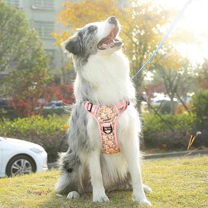 Timos Dog Harness, No-Pull Pet Harness with 2 Leash Clips, 3 Snap Buckles Adjustable Soft Padded Dog Vest, Reflective No-Choke Pet Oxford Vest with Easy Control Handle for Small Medium Large Dogs Timos