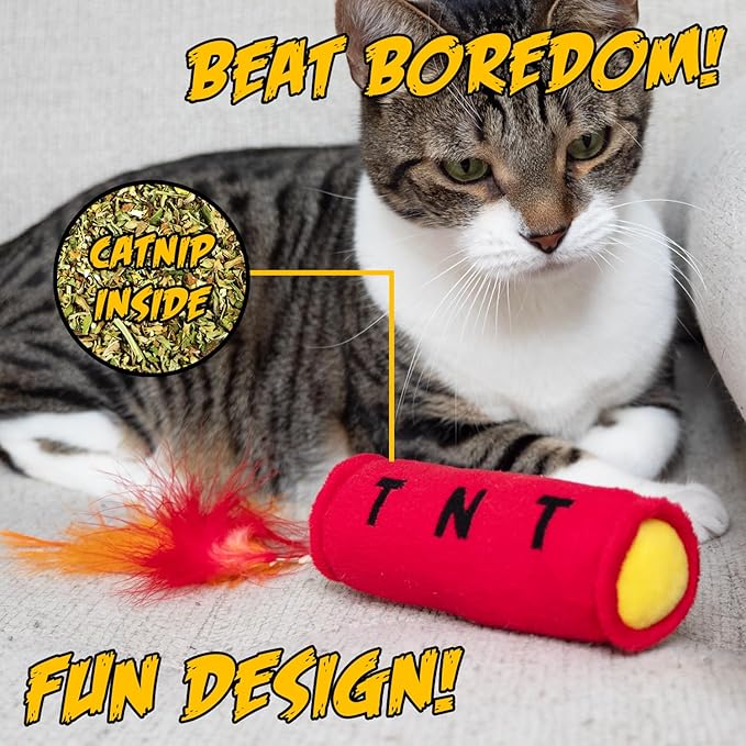 Cat Toys TNT, Cat Toys for Indoor Cats, Kitten Toys, Catnip Toys for Cats of All Breeds with Dangle Feathers and Jingle Sound - Kicking, Biting, Chewing - PAWPICO