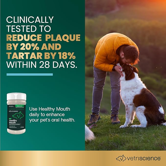 VetriScience Healthy Mouth Dog Dental Powder, Perio Support Clinically Tested Dental Supplement for Small, Medium & Large Breed Dogs, Freshen Breath, Control Plaque & Tartar, Oral Health, 4.2 oz VetriScienceLaboratories