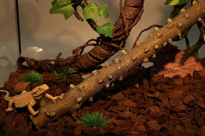AQUA KT Reptile Climbing Corner Stick Branch Rain Forest Style for Snake Lizard Hermit Crab Bearded Dragon Terrarium Habitat Decoration AQUAKT