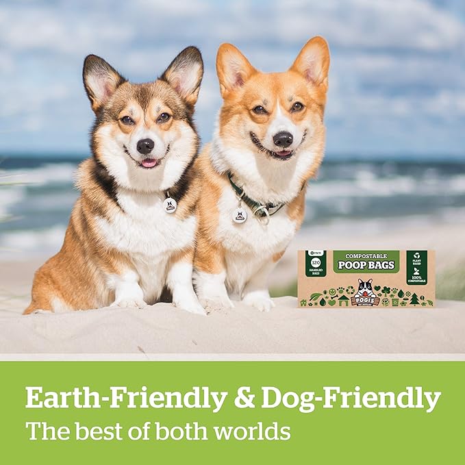 Pogi's Compostable Dog Poop Bags with Handles - 120 Doggie Poop Bags with Easy-Tie Handles - Leak-Proof Dog Waste Bags, Plant-Based, ASTM D6400, EN 13432 Certified Extra Large Poop Bags for Dogs - PAWPICO