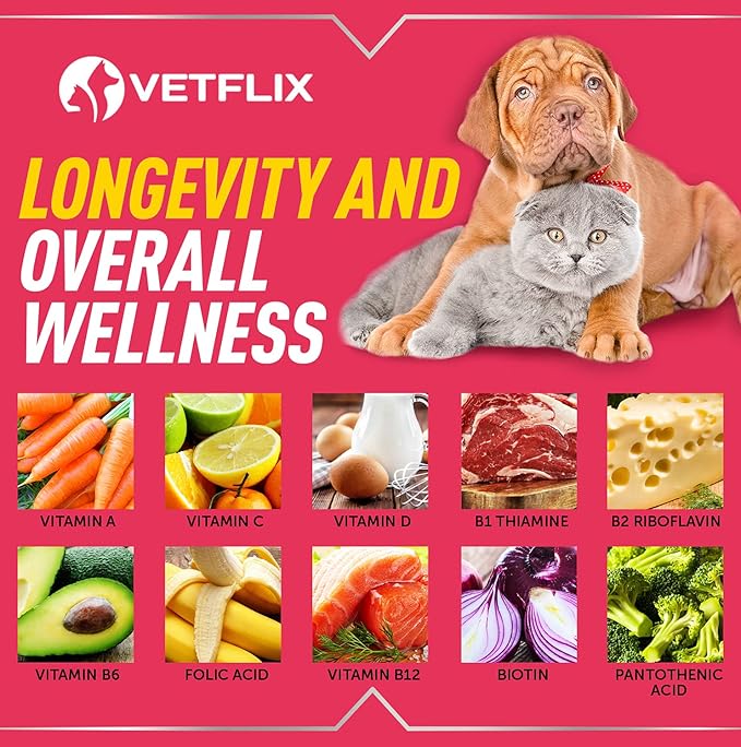 Pet Vitamins 10-in-1 Made in USA - Natural Glucosamine for Dogs & Cats, Essential Multivitamin Blend for Pet Joint Health, Longevity, Gut & Immune Health - All Ages, Breeds and Sizes 2 fl oz Vetflix