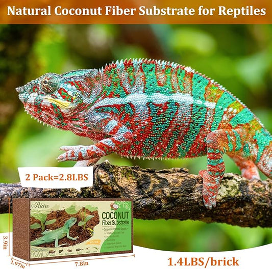 Riare 2 Pack Natural Coconut Fiber Substrate for Reptile- Premium Compressed Coconut Husk Terrarium Bedding for Reptile, Tortoise, Frogs, Snakes Hermit Crabs, Burrowing Animals Riare