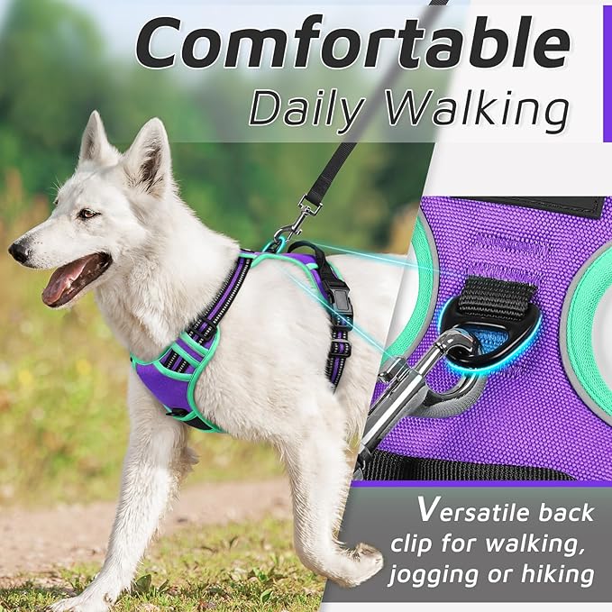 Eagloo Dog Harness for Large Dogs, No Pull Service Vest with Reflective Strips and Control Handle, Adjustable and Comfortable for Easy Walking, No Choke Harness with 2 Metal Rings, Purple & Green, S GoExplorewithEagloo
