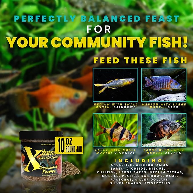 Xtreme Community Peewee 1.5mm Pellets: Slow Sinking & Ideal for Community Fish - Boosts Immune & Digestive Health, Enhances Color & Energy, Max Protein Fish Food – USA Farm Grown (10oz) XtremeAquaticFoods