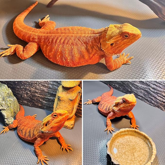 Reptile Carpet, Bearded Dragon Tank Accessories, Terrarium Liner Bedding, Non-Adhesive Reptile Substrate Mat for Bearded Dragon, Leopard Gecko, Snake, Lizard, Tortoise, Iguana Reptile Tank(18x36") SISIPAILIFE