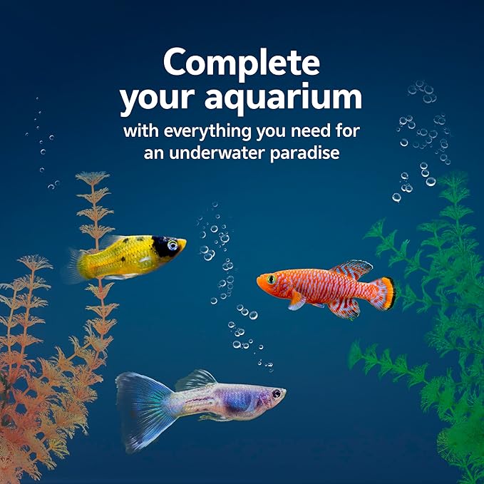 Aqueon Fish Tank Aquarium Essentials Starter Kit for 29 Gallon Tanks Aqueon