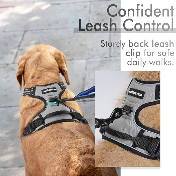 rabbitgoo Dog Harness, No-Pull Pet Harness with 2 Leash Clips, Adjustable Soft Padded Dog Vest, Reflective No-Choke Pet Oxford Vest with Easy Control Handle for Large Dogs, Grey, XL - PAWPICO