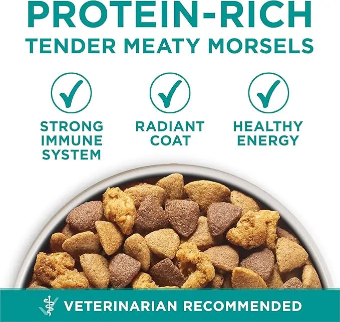 Purina One Plus Digestive Health Formula Dry Dog Food Natural with Added Vitamins, Minerals and Nutrients - 31.1 Lb. Bag - PAWPICO