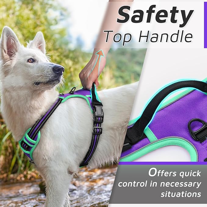 Eagloo Dog Harness for Large Dogs, No Pull Service Vest with Reflective Strips and Control Handle, Adjustable and Comfortable for Easy Walking, No Choke Harness with 2 Metal Rings, Purple & Green, S GoExplorewithEagloo