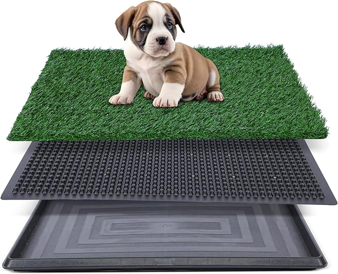 Artificial Grass for Dog Potty – 16x20 inch,Strong Absorbency Grass Pad, Dog Grass Pad with Tray, Dog Potty Training Pad, Dog Litter Box with Grass (Small) - PAWPICO
