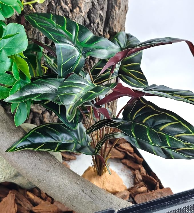 Woyrise Reptile Artificial Plants for Terrarium Decor, Amphibian Habitat Decorations Bearded Dragon Tank Accessories fit Crested Gecko Leopard Lizard Chameleon Ball Python Snake Frog - Fake Alocasia Woyrise