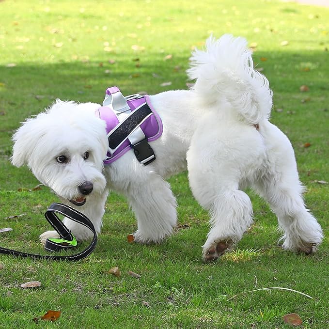 Bolux Dog Harness, No-Pull Reflective Dog Vest, Breathable Adjustable Pet Harness with Handle for Outdoor Walking - No More Pulling, Tugging or Choking (Lavender, X-Large (Pack of 1)) Bolux