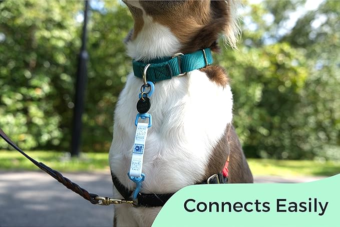 Gentle Creatures Collar Companion - Reinforced, Waterproof Poly Backup Clip for Dog Harness, Prong Collar, Pinch Collar, Gentle Lead - Double Ended Swivel Clips - Harness to Collar Safety Clip, Clasp GentleCreatures