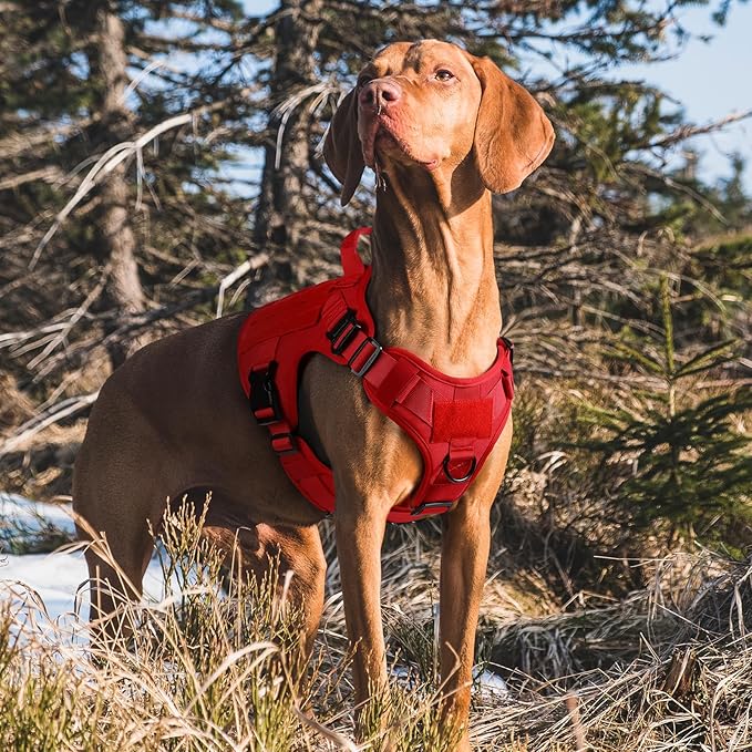 rabbitgoo Tactical Dog Harness Medium Sized, Heavy Duty Pet Harness with Handle, No-Pull Service Vest Medium Breed, Adjustable Military Dog Vest for Training Hunting Walking, Red, M rabbitgoo