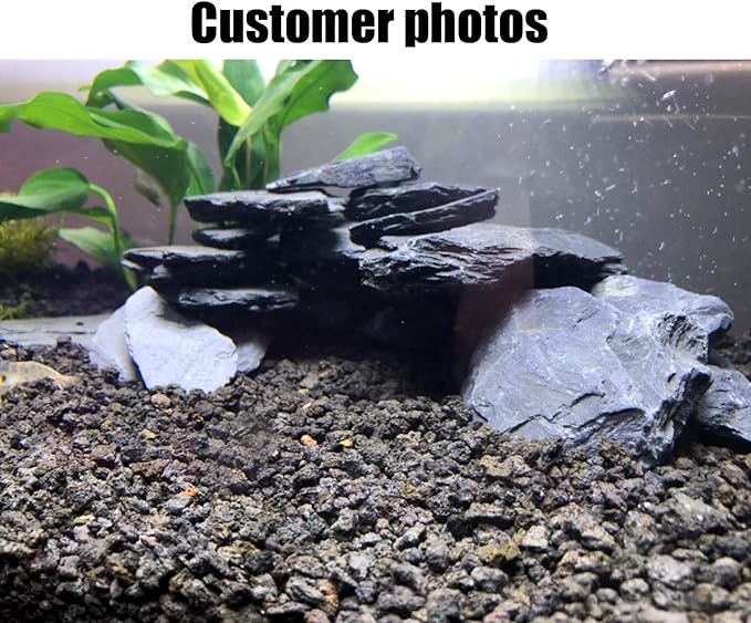 Voulosimi Natural Slate Rocks PH Neutral Stone Perfect Rocks for Aquariums, Landscaping Model,Tank Decoration,Amphibian Enclosures (10 LB, 3-5 inch) Voulosimi