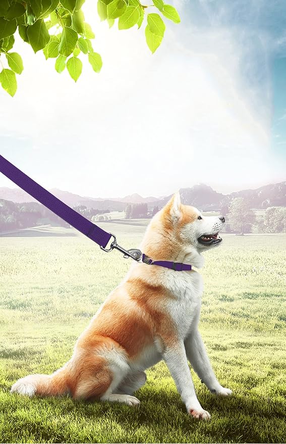 15ft 20ft 30ft 40ft 50ft Long Dog/Puppy Lead Obedience Recall Training Dog Leashes for Small Medium Dogs Camping, Training, Play, or Backyard (20 FT, Purple) PETGOGO
