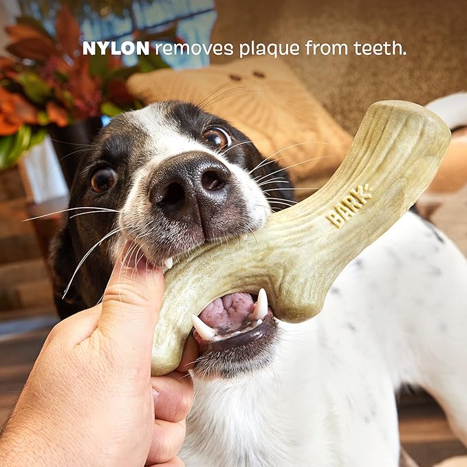 Barkbox Super Chewer Tough Dog Chew Toys for Aggressive Chewers, Dental Stimulating (Antler - Large) - PAWPICO