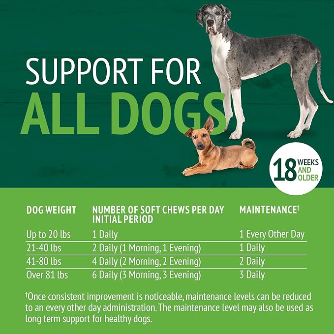 Petnc Natural Care Hip & Joint Health Supplement for Dogs (90 Chews), Glucosamine Chondroitin MSM Dog Chews with Hyaluronic Acid, Liver Flavored Bone & Joint Support Supplement, For All Breeds VisitthePetnc