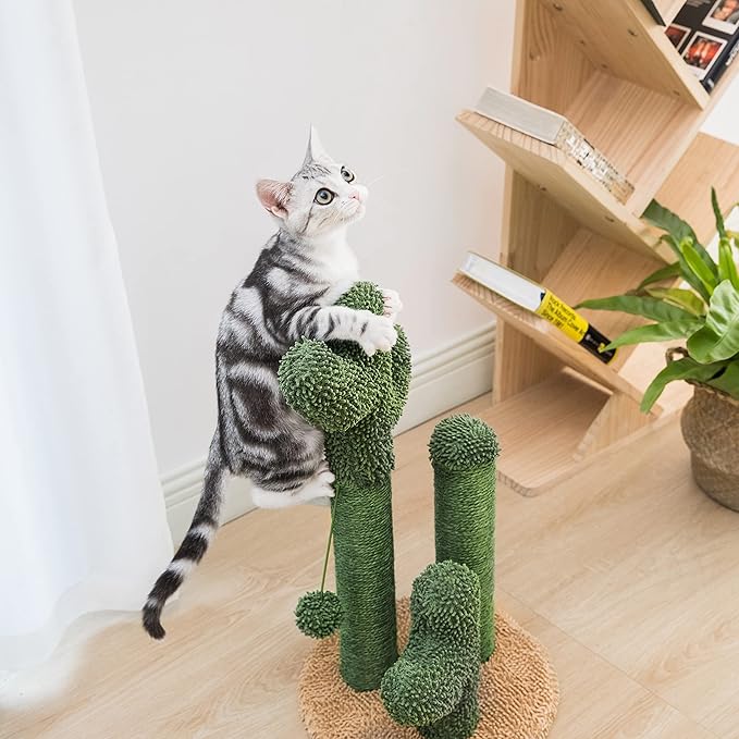 Pesofer Cactus Cat Scratching Post Cat Scratcher with 3 Scratching Poles and Dangling Ball for Kitten Medium - PAWPICO
