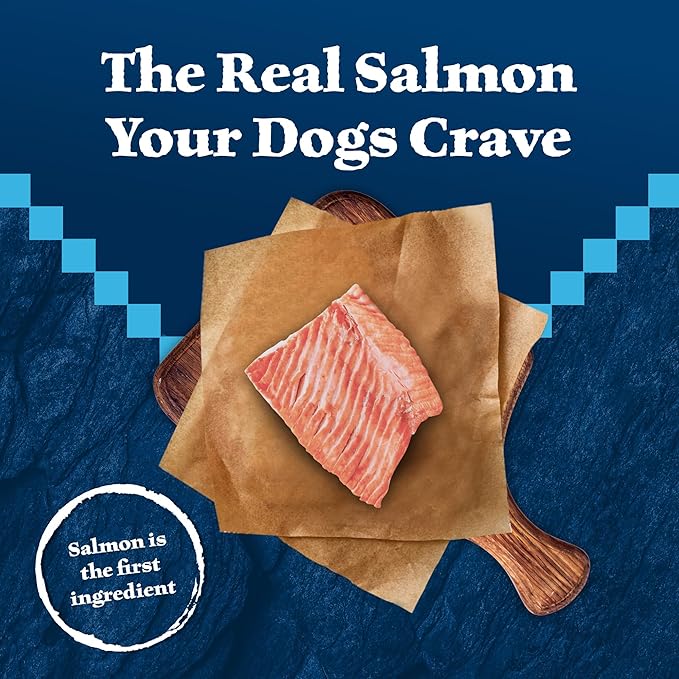 Blue Buffalo Wilderness Wild Bits Soft & Chewy Training Treats for Dogs, Grain-Free, Salmon Recipe, 4-oz. Bag - PAWPICO