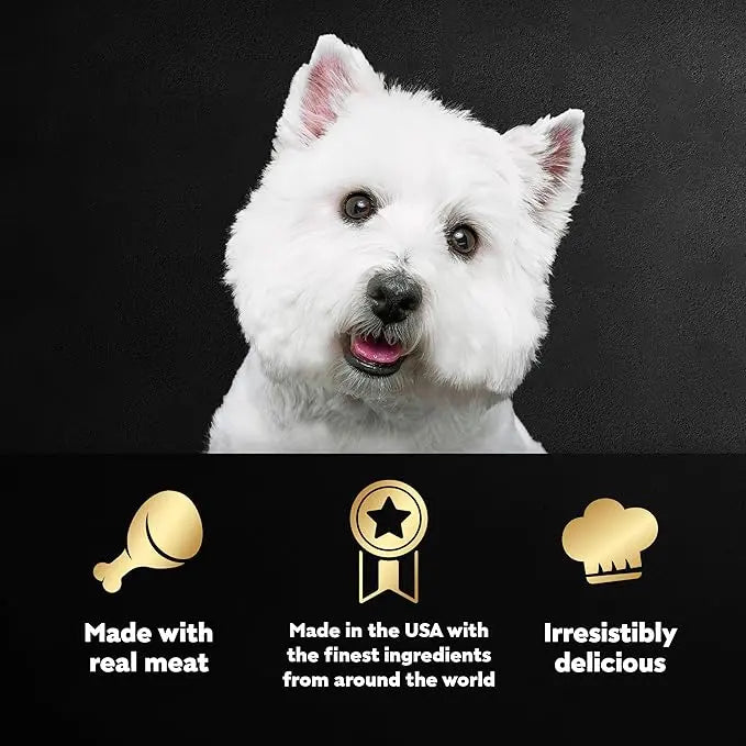 CESAR Adult Soft Wet Dog Food Steak Lovers Variety Pack with Real Meat, (36) 3.5 oz. Trays - PAWPICO