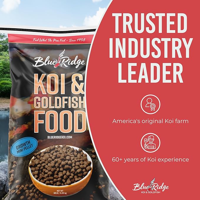 Blue Ridge Koi Fish Food 25lb - Koi Food Mini Growth Formula Goldfish Food, Premium Fish Food for Ponds, Ponds Fish Food, Koi Food Fall and Winter Fish Food, Floating Pond Pellets Fish Food BlueRidgeFishHatchery