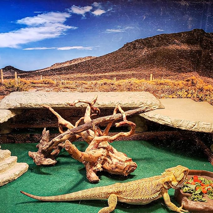 HERCOCCI 2 Pack Reptile Carpet, 39’’ x 20’’ Terrarium Bedding Substrate Liner Reptile Cage Mat Tank Accessories for Bearded Dragon Lizard Tortoise Leopard Gecko Snake (Green) HERCOCCI