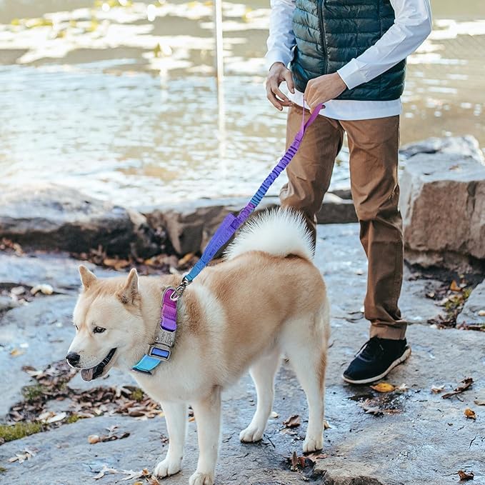 Tactical Dog Collar Military Dog Collar Adjustable Nylon Dog Collar Heavy Duty Metal Buckle with Handle for Dog Training,with Patches(Gradient 1, XL) Celifelight