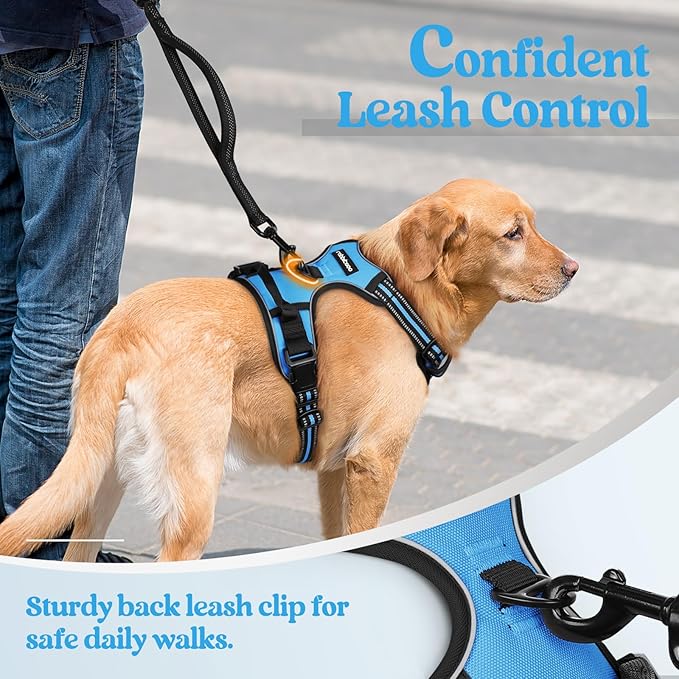 rabbitgoo Dog Harness No Pull with 2 Leash Clips, Adjustable Soft Padded, Reflective Oxford No Choke Pet Vest with Easy Control Handle for Small Dogs, Blue, S rabbitgoo