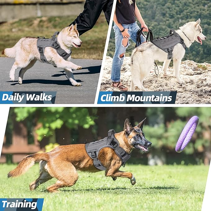 WINGOIN Grey Harness with Handle, Metal Buckles Tactical Dog Harness Vest for Large Medium Dogs No Pull Adjustable Reflective K9 Military Dog Vest Harnesses for Walking, Hiking, Training(M) WINGOIN