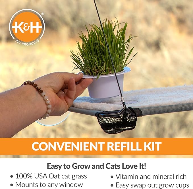 K&H Pet Products Cat Grass Grow Station Growing Cup Refills for K&H EZ Mount Products - Healthy Home Grown Grass Cat Toys for Bored Indoor Adult Cats, Farmed in USA, Non-GMO - Refill ONLY - 2 Pack KHPetProducts