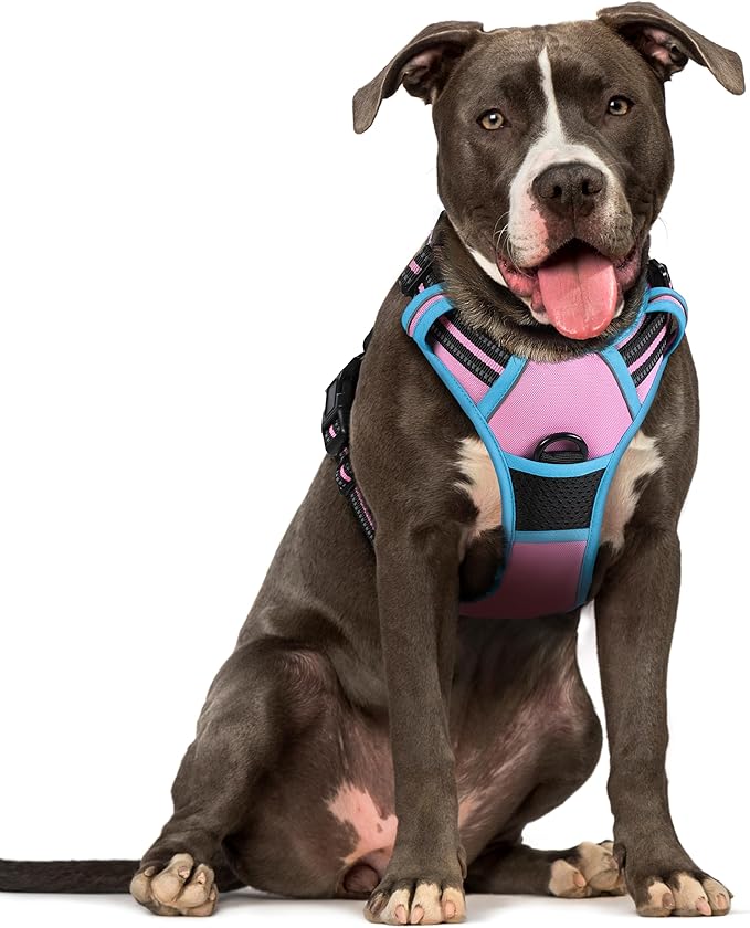 rabbitgoo Dog Harness No Pull with 2 Leash Clips, Adjustable Soft Padded, Reflective Oxford No Choke Pet Vest with Easy Control Handle for Large Dogs, Pink & Blue, L rabbitgoo