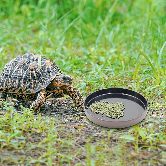Reptile Feeder Kit, Food Water Bowl, Plastic Round Tortoise Feeding Dish, Amphibian Feeding Bowl, Tank Terrarium Accessories for Bearded Dragon Snake Hermit Crab Turtle Lizard Chameleon - 8 × 8 × 1" Neeenn
