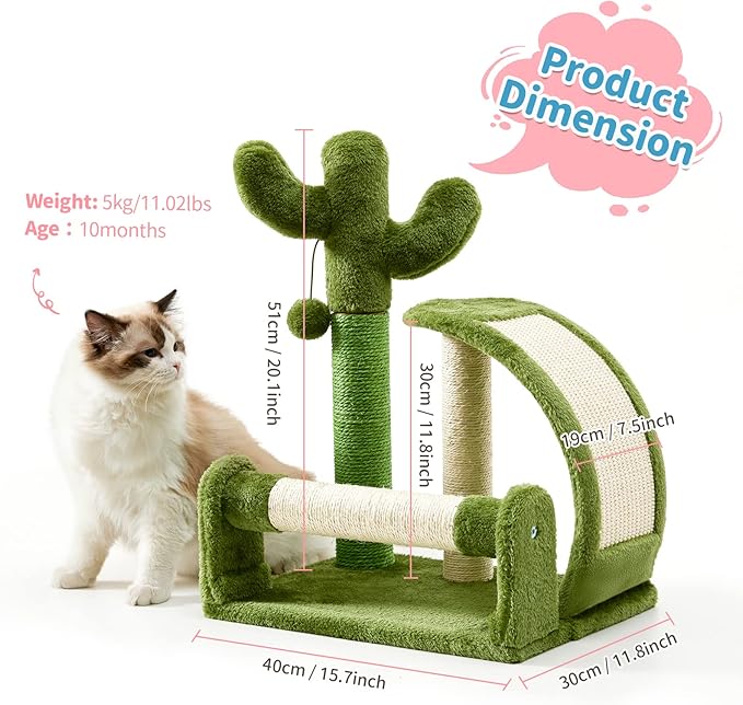 Made4Pets Cat Scratching Post, Cactus Scratcher Tree for Indoor Small Cats, Adult Kitten Scratch Pad with Natural Sisal Ropes, Cute Kitty Nail File Vertical Scratcher with Green Carpet Cover - PAWPICO